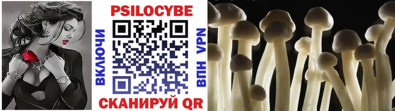 Псилоцибиновые грибы прущие грибы магазин продажи Волгоград